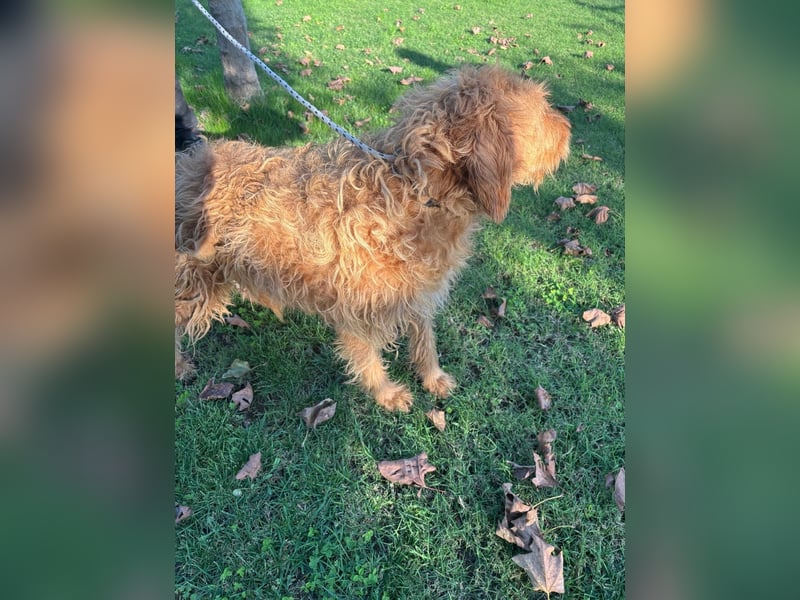 Wilma: „Nach Hause kommen! Wohin darf ich mich auf den Weg machen?