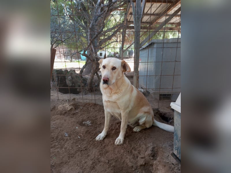 Claudia: “Wo darf ich mein Körbchen aufschlagen“