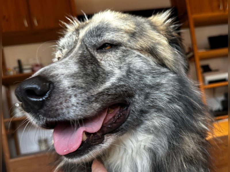 Marlon: „Würden Sie sich meiner annehmen?“