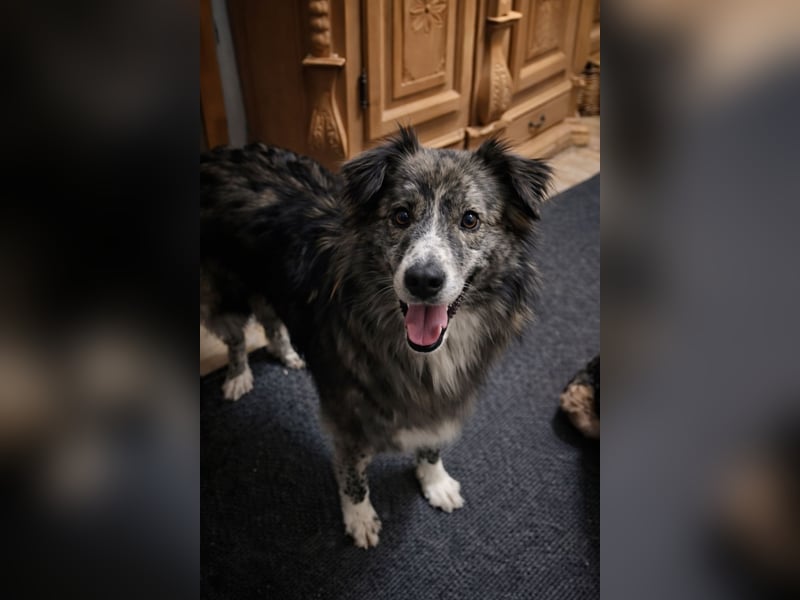 Marlon: „Würden Sie sich meiner annehmen?“