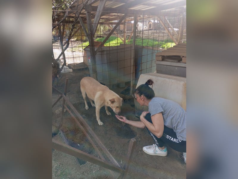 Claudia: “Wo darf ich mein Körbchen aufschlagen“