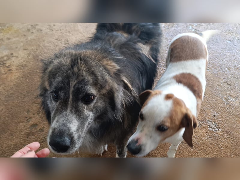 Marlon: „Würden Sie sich meiner annehmen?“