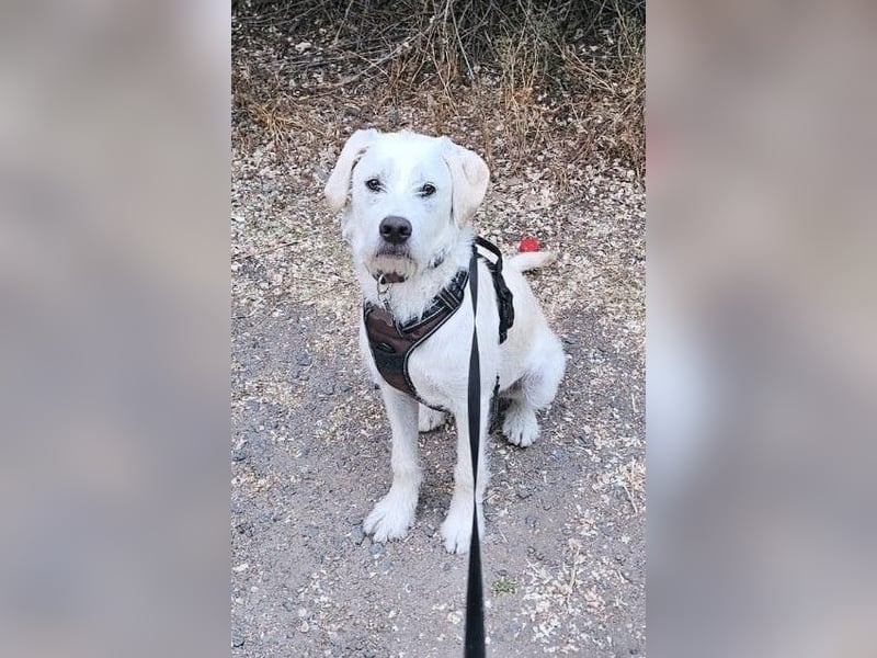 Sugar – zurück auf Start