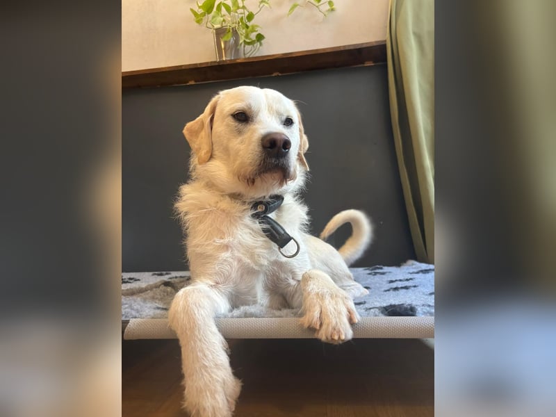 Sugar – zurück auf Start