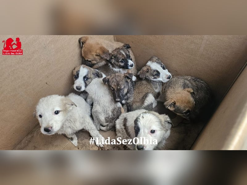 Django - auf ins neue Leben!