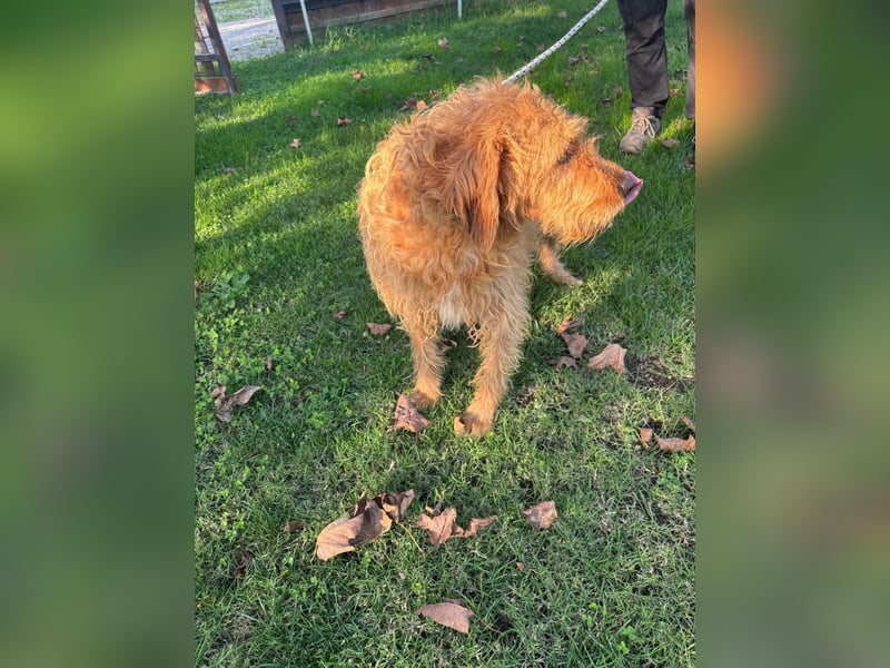 Wilma: „Nach Hause kommen! Wohin darf ich mich auf den Weg machen?