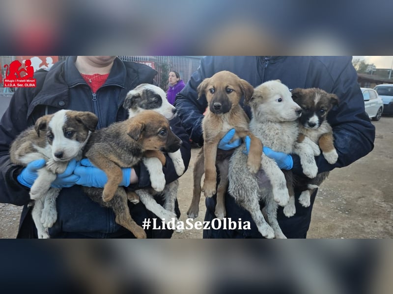 Django - auf ins neue Leben!