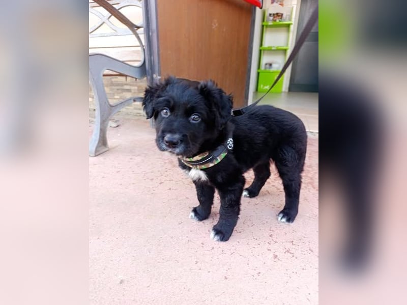 Blu - mutterseelenallein gefunden