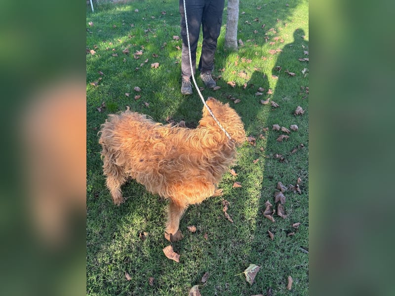 Wilma: „Nach Hause kommen! Wohin darf ich mich auf den Weg machen?