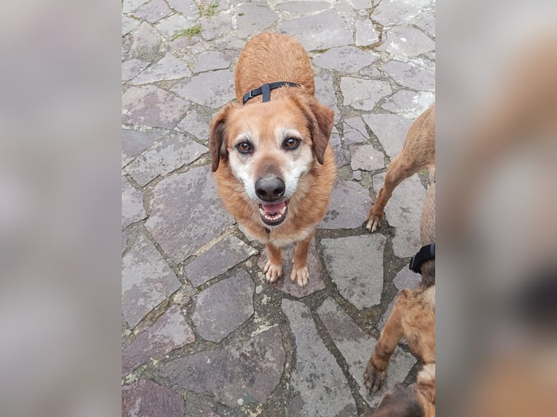 ZIVA: Aus dem Paradies in den Tod!?!?