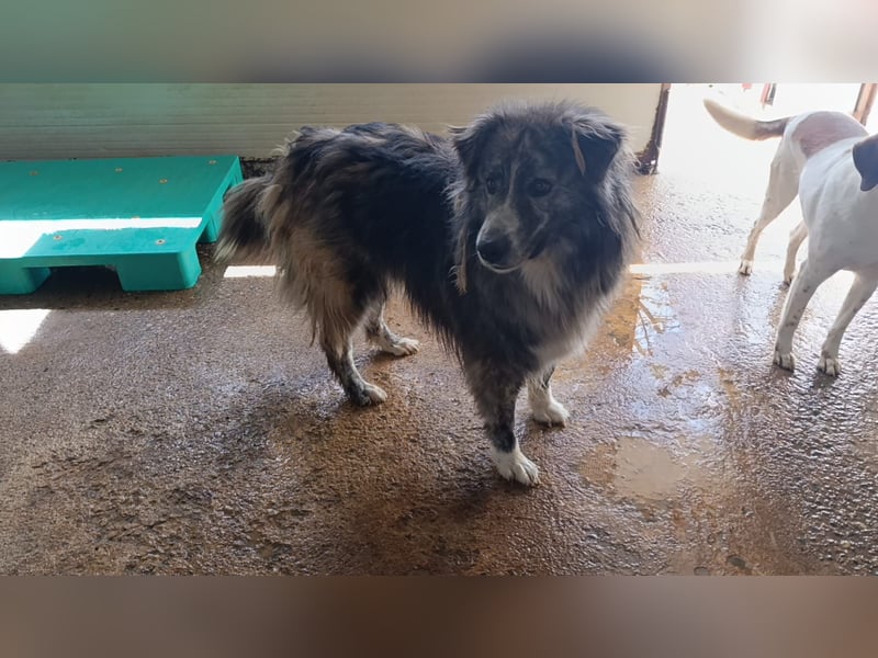 Marlon: „Würden Sie sich meiner annehmen?“