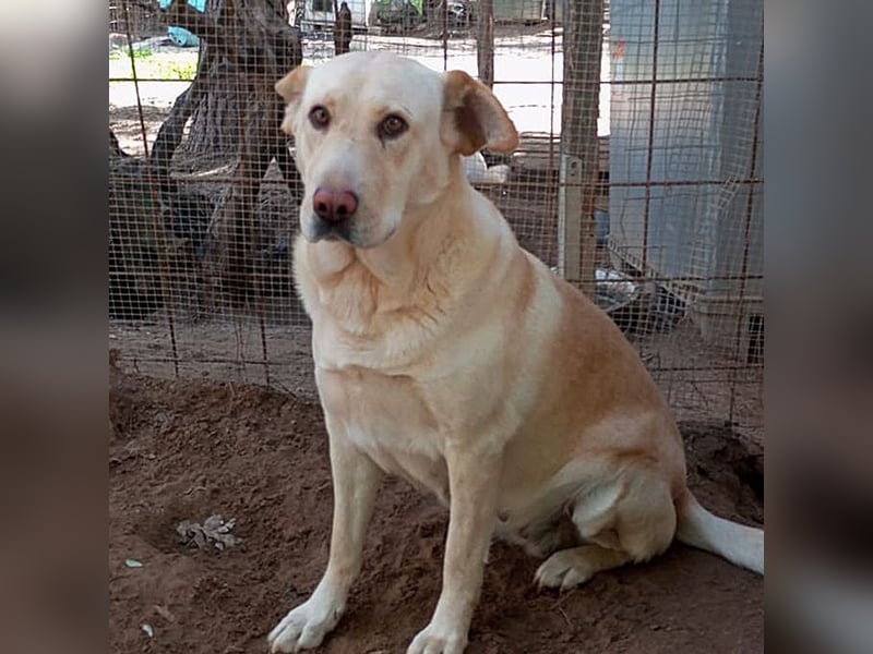 Claudia: “Wo darf ich mein Körbchen aufschlagen“
