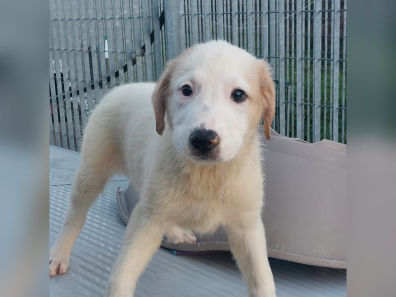 Django - auf ins neue Leben!