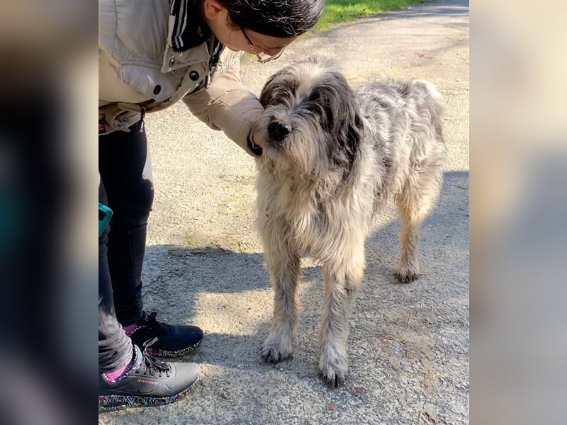 Spino, der Friedensrichter