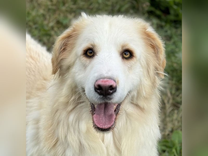 Nuvola – Glück zu entdecken…