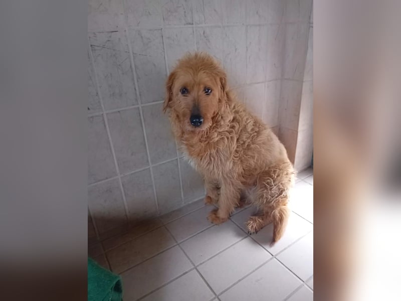 Wilma: „Nach Hause kommen! Wohin darf ich mich auf den Weg machen?