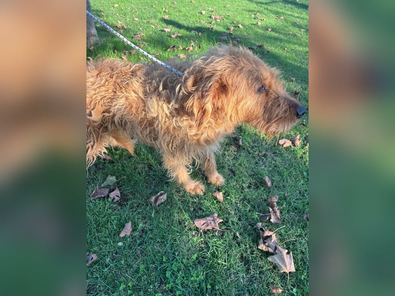 Wilma: „Nach Hause kommen! Wohin darf ich mich auf den Weg machen?