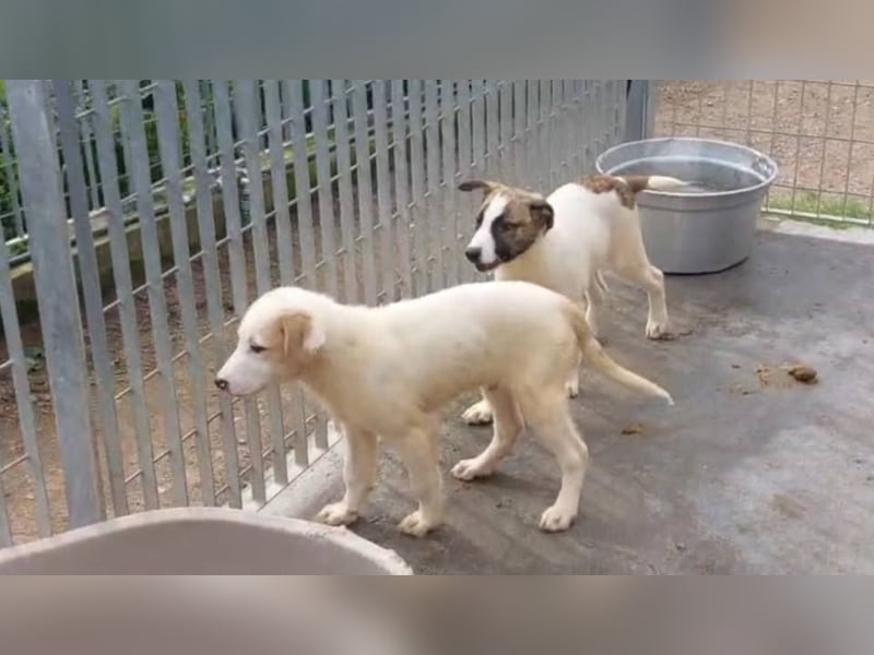 Django - auf ins neue Leben!