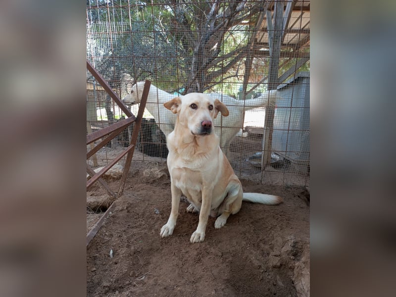 Claudia: “Wo darf ich mein Körbchen aufschlagen“