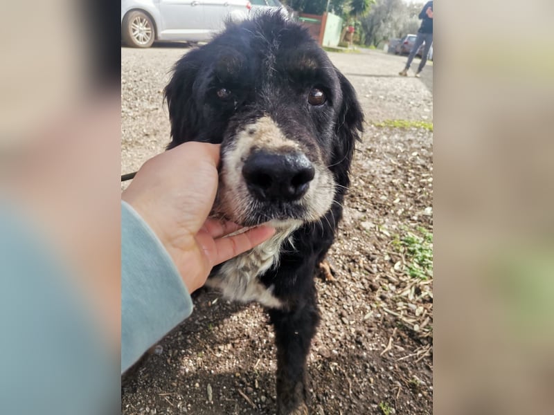 Bernie: "Ich sehe bloß cool aus"