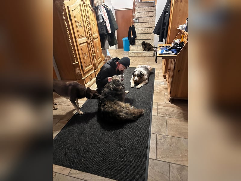 Marlon: „Würden Sie sich meiner annehmen?“