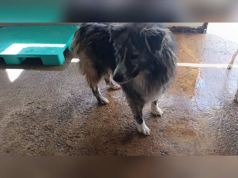 Marlon: „Würden Sie sich meiner annehmen?“