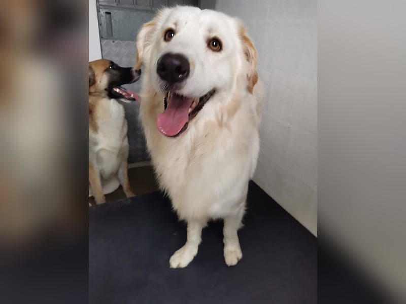 Nuvola – Glück zu entdecken…