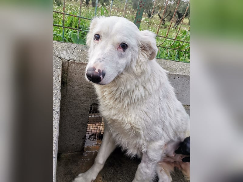 Pia: „Bitte nicht wieder wegschicken!“