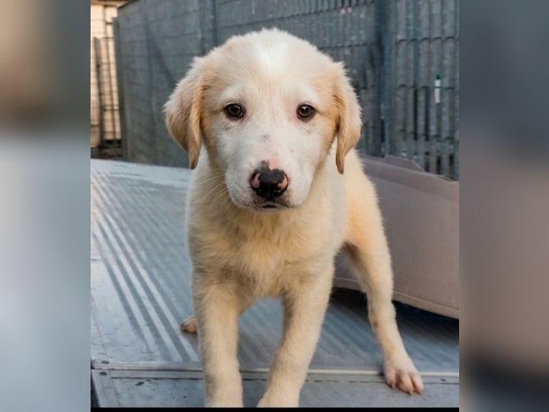 Django - auf ins neue Leben!