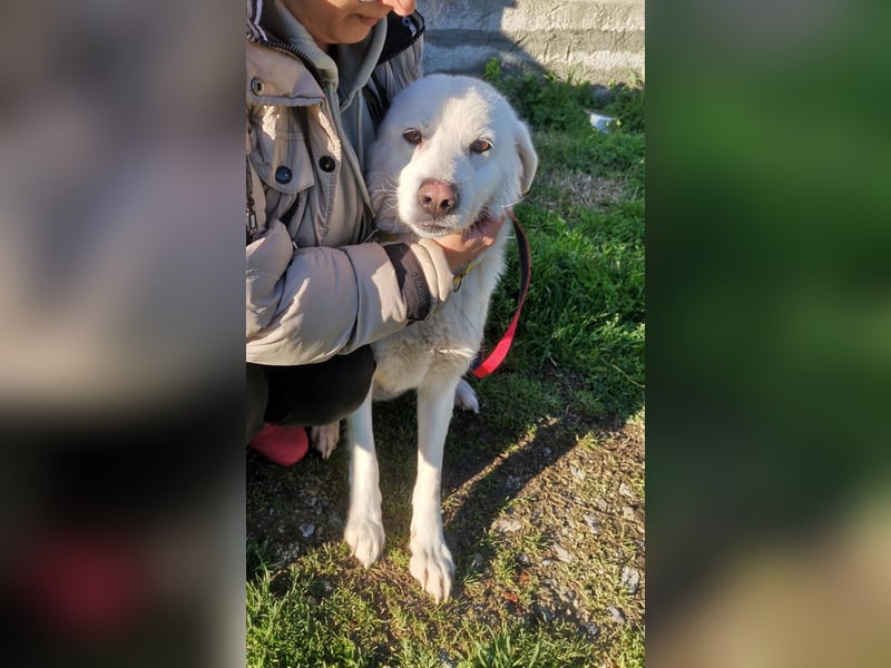 Samantha – Zuckerschnute