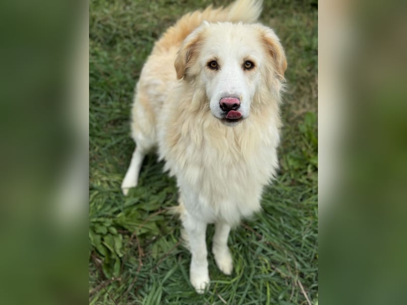 Nuvola – Glück zu entdecken…