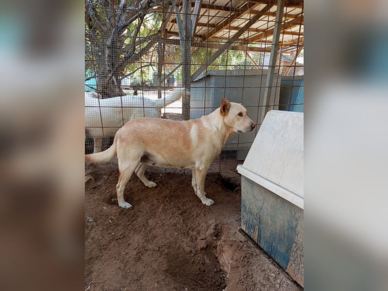 Claudia: “Wo darf ich mein Körbchen aufschlagen“