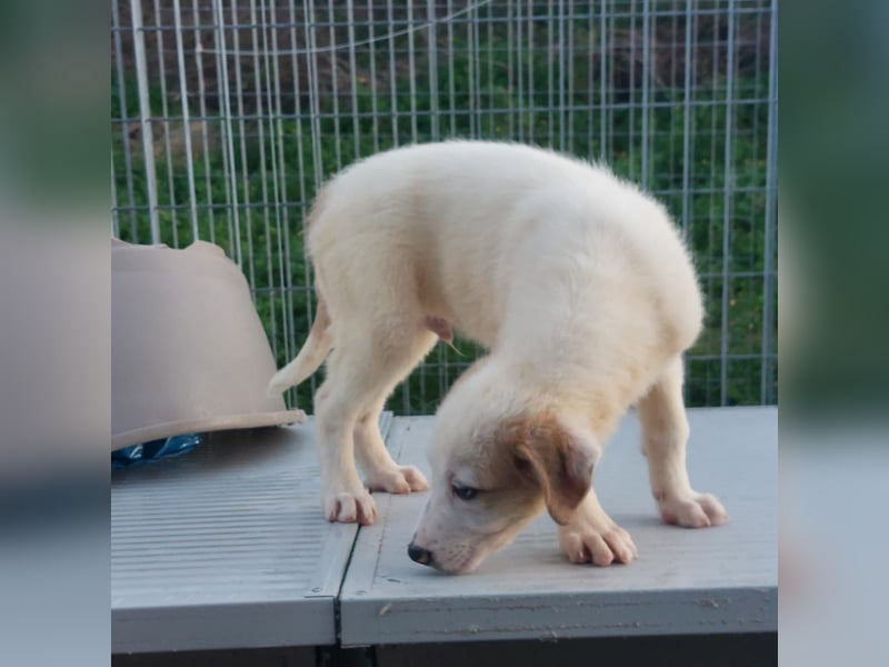 Django - auf ins neue Leben!