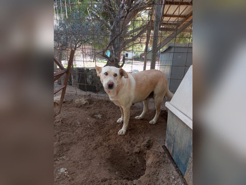 Claudia: “Wo darf ich mein Körbchen aufschlagen“