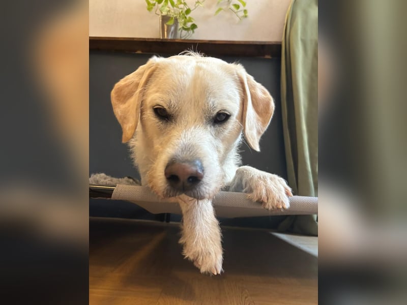 Sugar – zurück auf Start