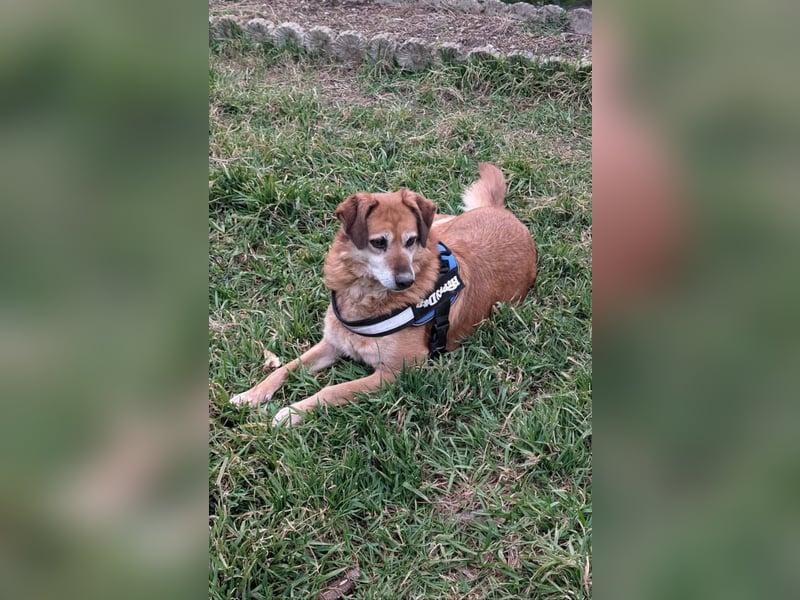 ZIVA: Aus dem Paradies in den Tod!?!?