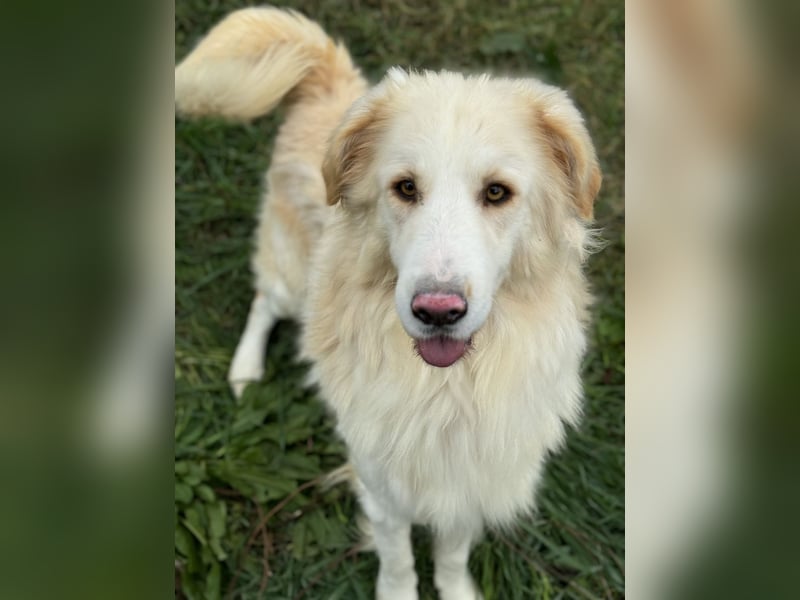 Nuvola – Glück zu entdecken…