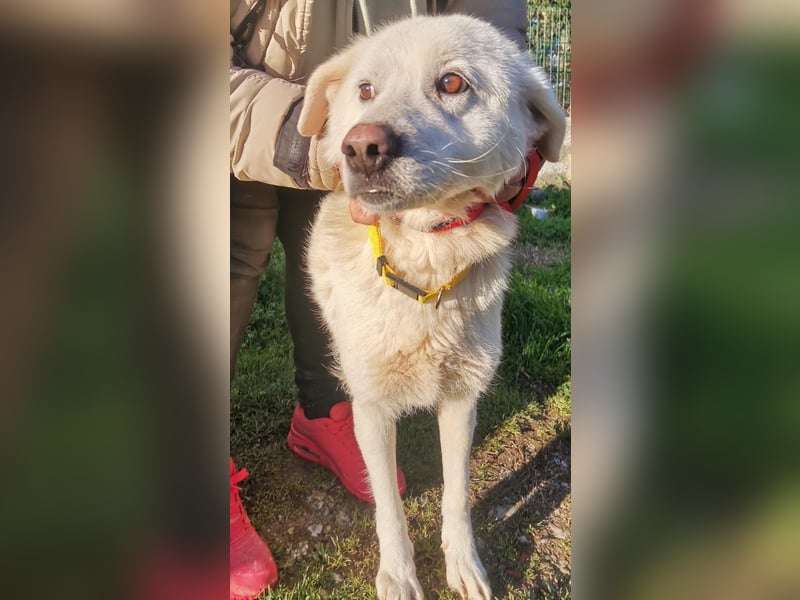 Samantha – Zuckerschnute