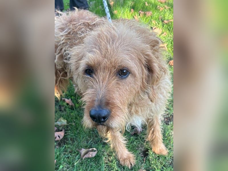 Wilma: „Nach Hause kommen! Wohin darf ich mich auf den Weg machen?