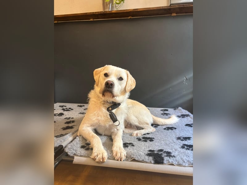 Sugar – zurück auf Start