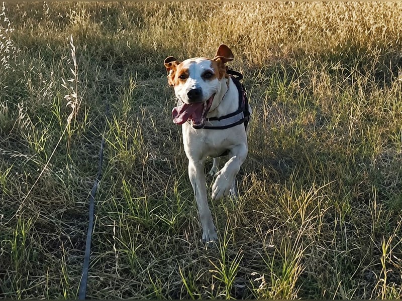 Cooper: „SOS - wohin soll ich denn sonst?“