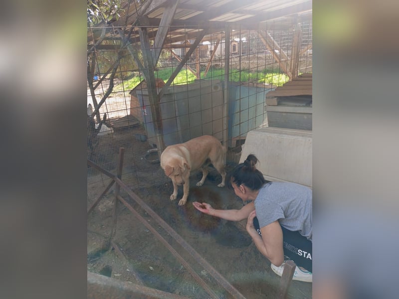 Claudia: “Wo darf ich mein Körbchen aufschlagen“