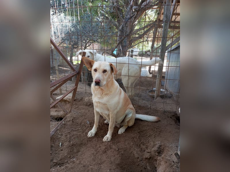 Claudia: “Wo darf ich mein Körbchen aufschlagen“