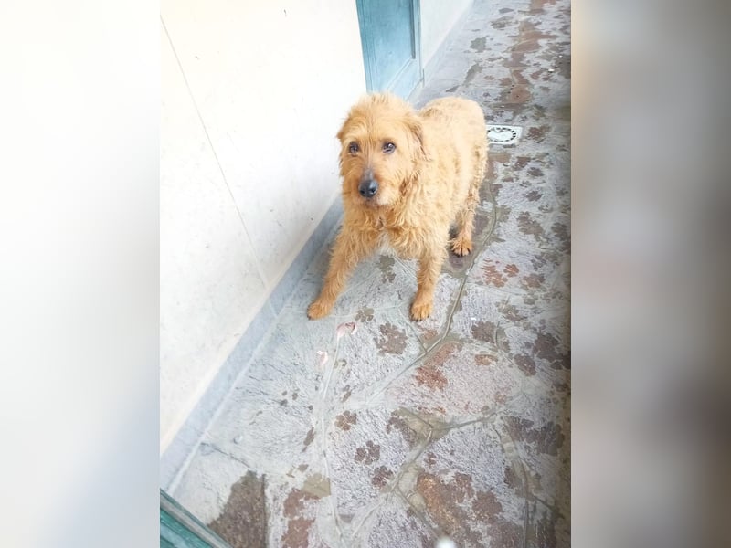 Wilma: „Nach Hause kommen! Wohin darf ich mich auf den Weg machen?