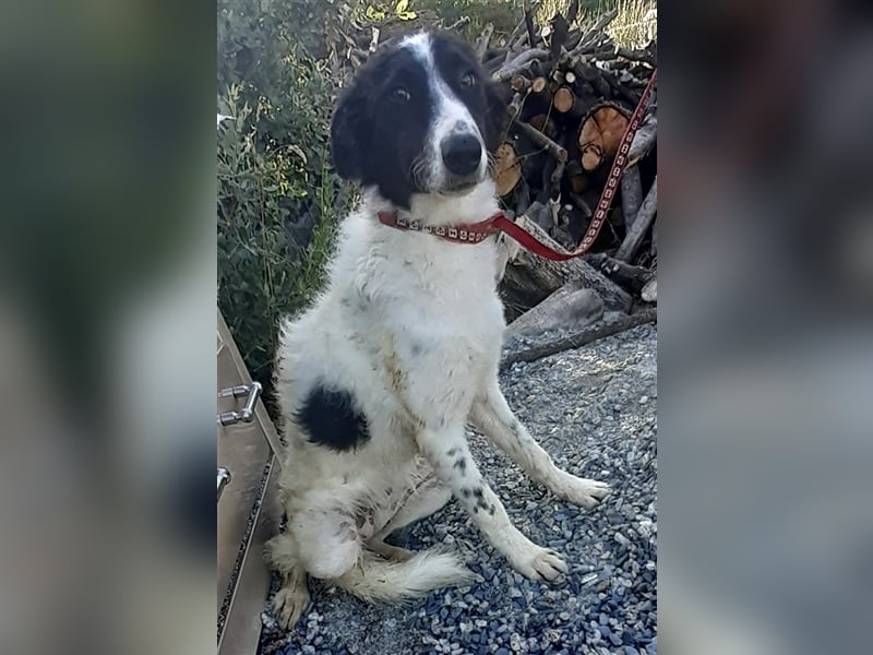 Claudia – Über die Alpen……….