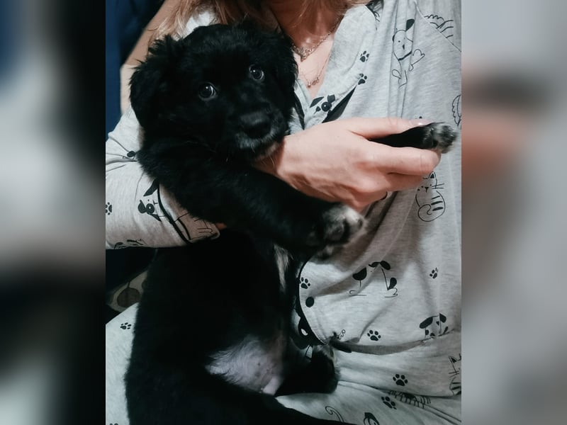 Blu - mutterseelenallein gefunden