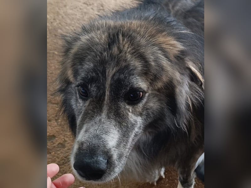 Marlon: „Würden Sie sich meiner annehmen?“