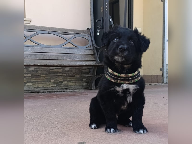 Blu - mutterseelenallein gefunden