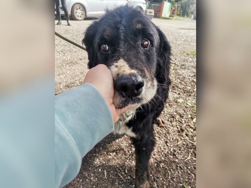 Bernie: "Ich sehe bloß cool aus"