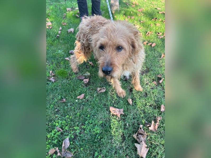 Wilma: „Nach Hause kommen! Wohin darf ich mich auf den Weg machen?
